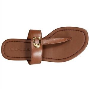 jessie buckle thong sandals